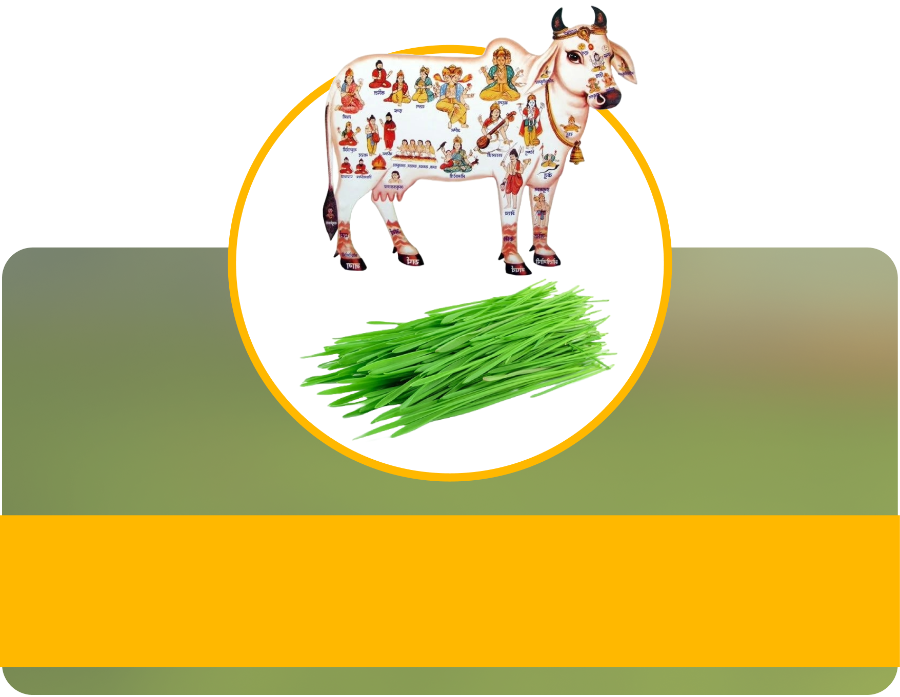 Gau-Seva for 1 Day